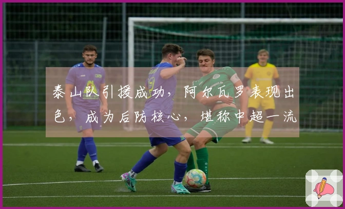 泰山队引援成功，阿尔瓦罗表现出色，成为后防核心，堪称中超一流